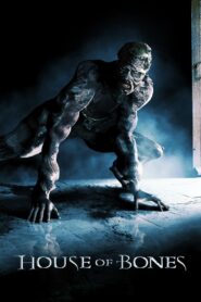 House of Bones 2010 one on netflix