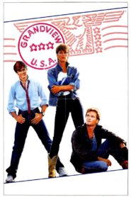 Grandview, U.S.A. 1984 one on netflix