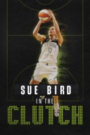 Sue Bird: In the Clutch 2024 one on netflix