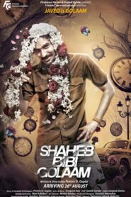Shaheb Bibi Golaam 2016 one on netflix