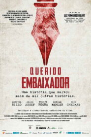Dear Ambassador 2018 one on netflix