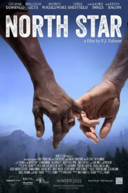 North Star 2022 one on netflix