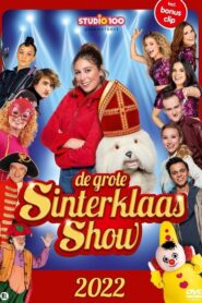 De Grote Sinterklaasshow 2022 one on netflix
