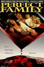 Perfect Family 1992 one on netflix