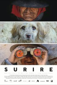 Surire 2015 one on netflix