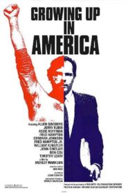 Growing Up in America 1989 one on netflix