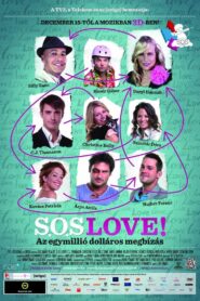Lovemakers 2011 one on netflix