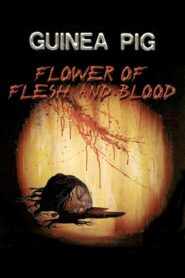 Guinea Pig Part 2: Flower of Flesh and Blood 1985 one on netflix