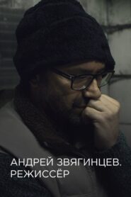 Andrey Zvyagintsev. The Director 2017 one on netflix