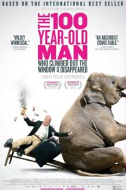 The 100 Year-Old Man Who Climbed Out the Window and Disappeared 2013 one on netflix