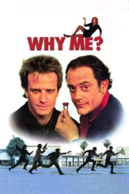 Why Me? 1990 one on netflix