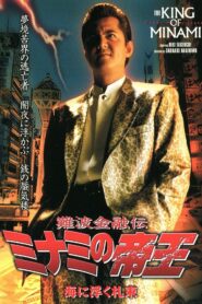 The King of Minami 24 2003 one on netflix