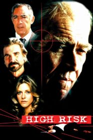 High Risk 1981 one on netflix