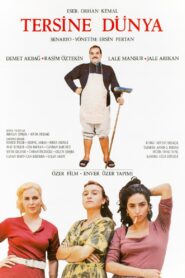Tersine Dünya 1994 one on netflix