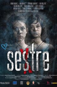 Sisters 2011 one on netflix