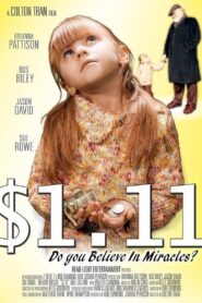 $1.11 2008 one on netflix