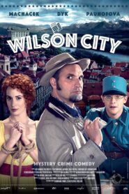 Wilson City 2015 one on netflix