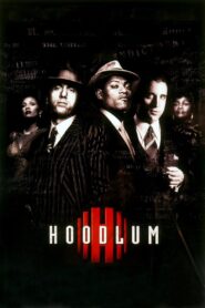 Hoodlum 1997 one on netflix