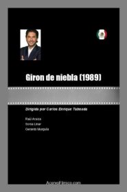 Jirón de niebla 1989 one on netflix
