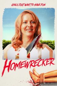 Homewrecker 2020 one on netflix