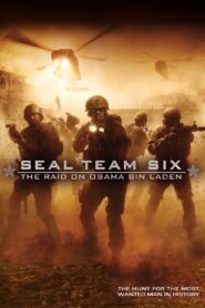 Seal Team Six: The Raid on Osama Bin Laden 2012 one on netflix