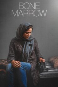 Bone Marrow 2020 one on netflix