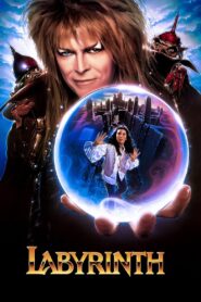 Labyrinth 1986 one on netflix