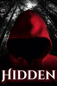 Hidden 2009 one on netflix