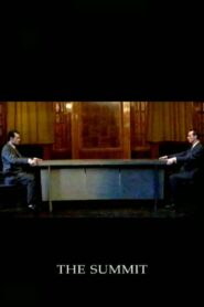 The Summit 1995 one on netflix