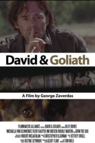 David and Goliath 2010 one on netflix