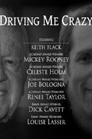 Driving Me Crazy 2012 one on netflix