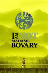 I Am Not Madame Bovary 2016 one on netflix