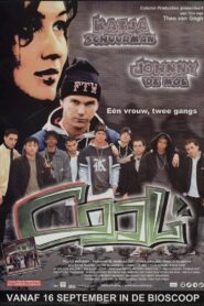 Cool! 2004 one on netflix