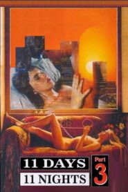 11 Days, 11 Nights Part 3 1989 one on netflix