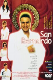 San Bernardo 2000 one on netflix