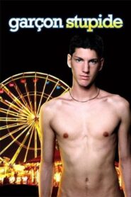 Stupid Boy 2004 one on netflix