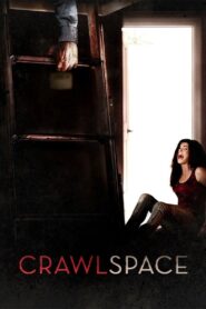 Crawlspace 2013 one on netflix
