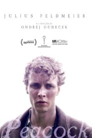 Peacock 2024 one on netflix