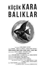 Little Black Fishes 2013 one on netflix