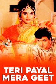 Teri Payal Mere Geet 1993 one on netflix