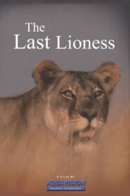 The Last Lioness 2009 one on netflix