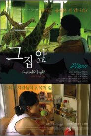 Invisible Light 2003 one on netflix