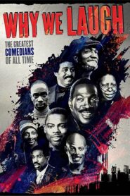 Why We Laugh: Black Comedians on Black Comedy 2009 one on netflix