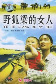 野狐梁的女人 2004 one on netflix