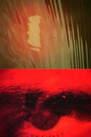 Royaume 1991 one on netflix