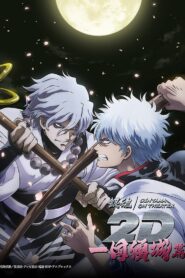 Gintama on Theater 2D: Ikkoku Keisei-hen 2024 one on netflix