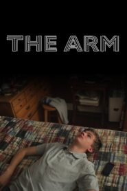 The Arm 2012 one on netflix