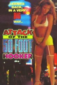 Attack of the 50 Foot Hooker 1994 one on netflix