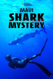 Maui Shark Mystery 2022 one on netflix