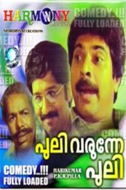 Puli Varunne Puli 1985 one on netflix